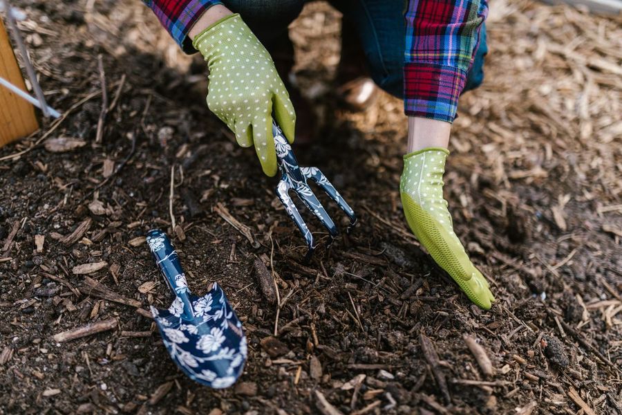 Landscape bed cleanup and planting
