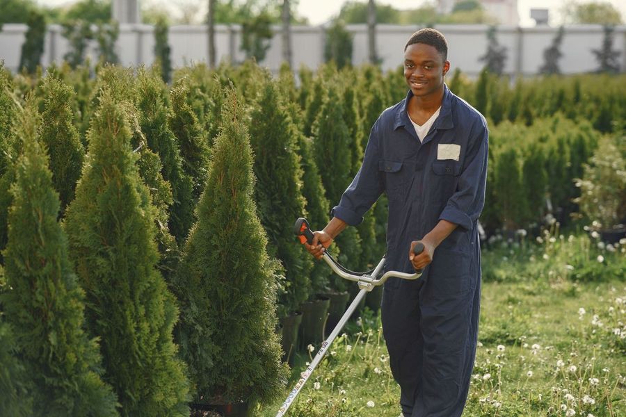 Edging and trimming a property line