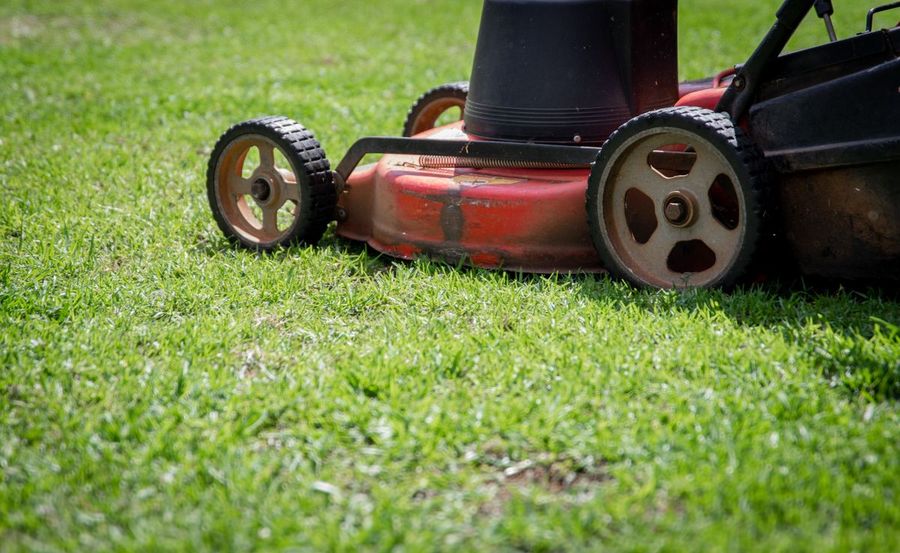 Freshly mowed lawn
