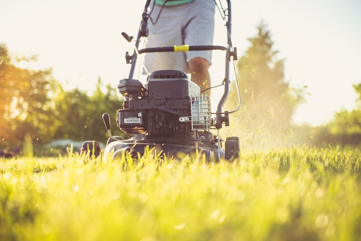 Fresh lawn being mowed on a Mississippi property